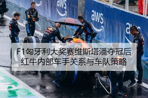 xiong-ya-li-da-jiang-sai-wei-si-ta-pan-duo-guan-hou-hong-niu-nei-bu-che-shou-guan-xi-yu-che-dui-ce-lve-3-642.jpg